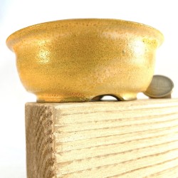 Handmade yellow matte rustic round accent bonsai pot stoneware
