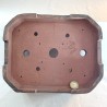 Handmade Artisan Bonsai Pot | Bark and Fruit Texture | Unique 218229