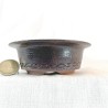 Handmade Black Accent Bonsai Pot | Enshu-maru Style | Unique 218312