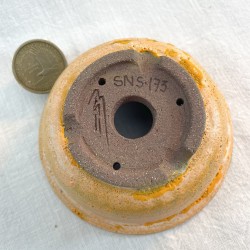 Accent Bonsai Pot SNS-175 | Yellow Sunrise Stoneware