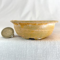 Accent Bonsai Pot SNS-175 | Yellow Sunrise Stoneware