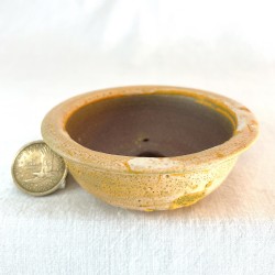 Accent Bonsai Pot SNS-175 | Yellow Sunrise Stoneware