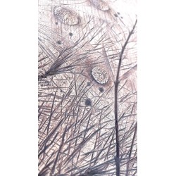 A Moment Between Winds Ceramic Mural | GaloArtworks
