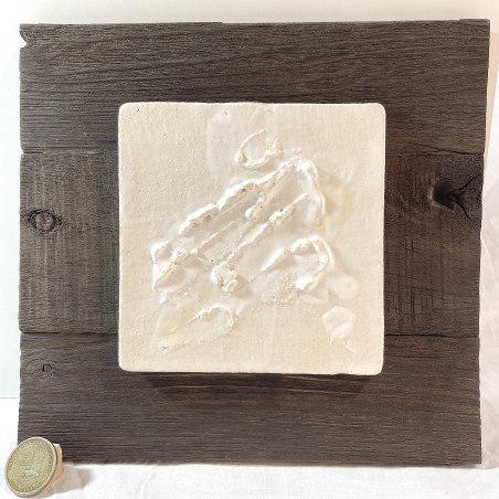 Abstract white ceramic relief with embryonic geological textures on a dark wood panel by Ismael Garcia Burillo