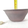 Exclusive Conical Bonsai Pot Burgundy Stoneware | Galoartworks.
