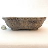 copy of MACETA PARA BONSAI CUADRADA TEXTURAS