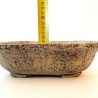 copy of MACETA PARA BONSAI CUADRADA TEXTURAS