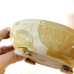 Maceta Bonsái Exclusiva Gres Toffee Textura Irregular | Galoartworks.