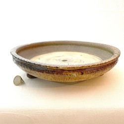 Maceta Bonsái Exclusiva Gres Corteza de Árbol | Galoartworks.
