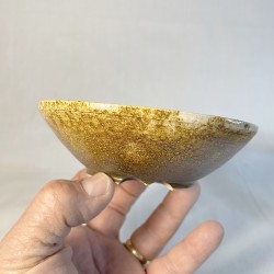 Maceta Bonsái Exclusiva Gres Ocre Textura Lisa | Galoartworks.