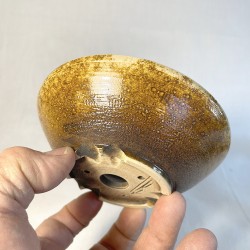 Maceta Bonsái Exclusiva Gres Ocre Textura Lisa | Galoartworks.