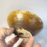 Maceta Bonsái Exclusiva Gres Ocre Textura Lisa | Galoartworks.