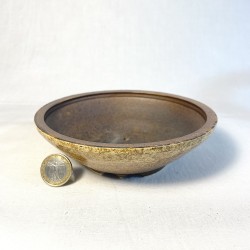Maceta Bonsái Exclusiva Gres Ocre Textura Lisa | Galoartworks.