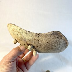 BANDEJA KUSAMONO CRUDA BONSAI