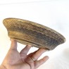 Exclusive Bonsai Pot Irregular Lines Texture Stoneware (Ochre) | Galoartworks.