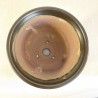 Maceta para Bonsái en Tonos Oscuros con Matices Verdes y Azules